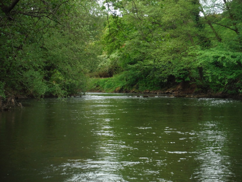 Lower Monnow, lying fallow
